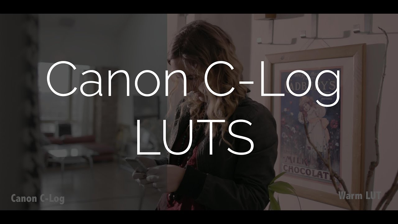 Canon C Log 2 Lut